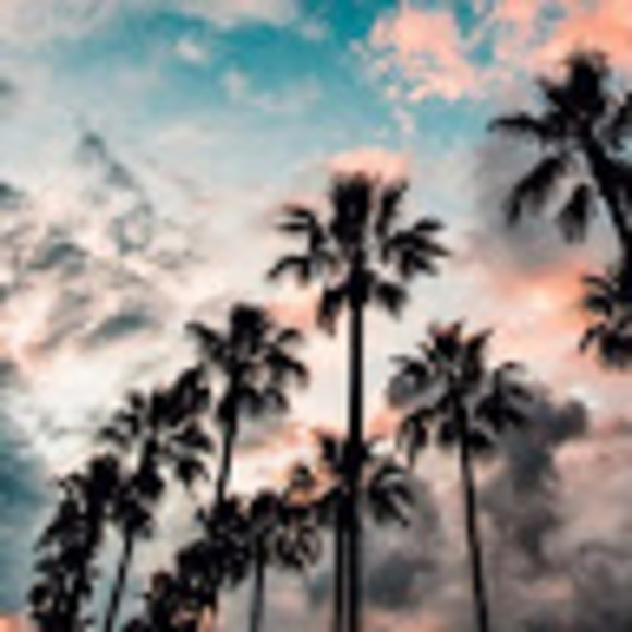 lilykennedy2705